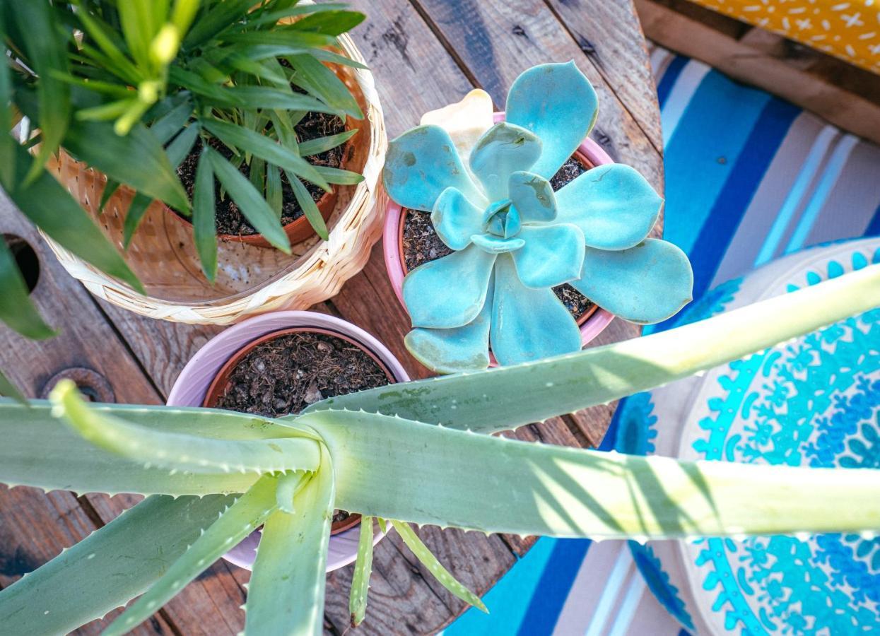 The Kalifornia I Stilvoll Mit Urlaubsfeeling I Dachterrasse I Klima Apartment Карлсруе Екстериор снимка